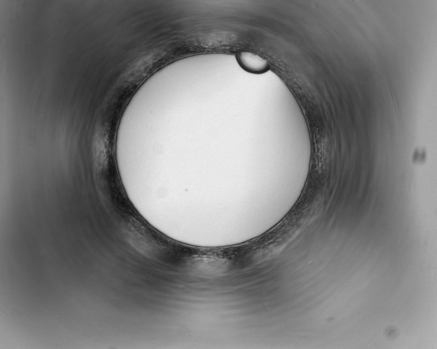 X0000103300644200809191855