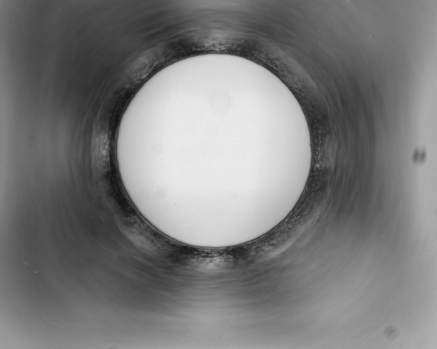 X0000103300646200809191855