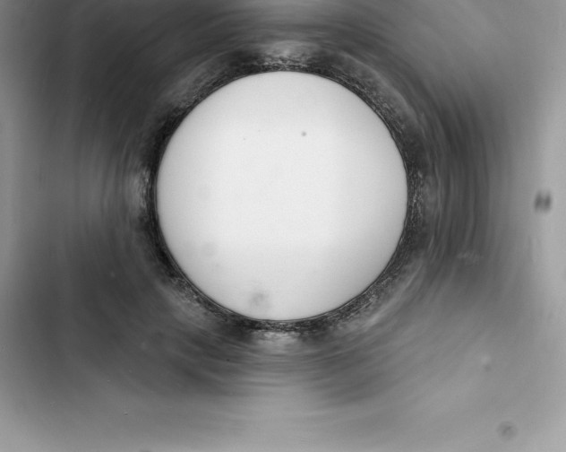 X0000103300649200809191855