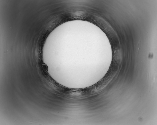 X0000103300653200809191855