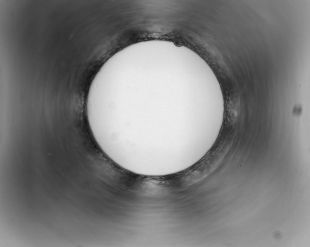 X0000103300657200809191855