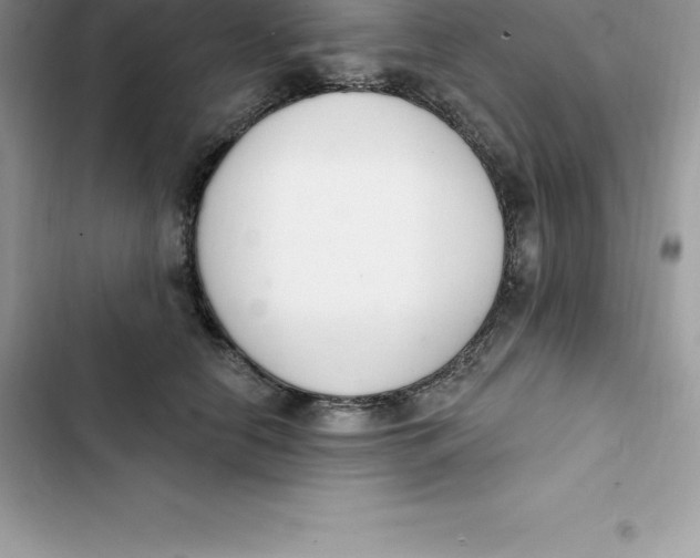 X0000103300658200809191855