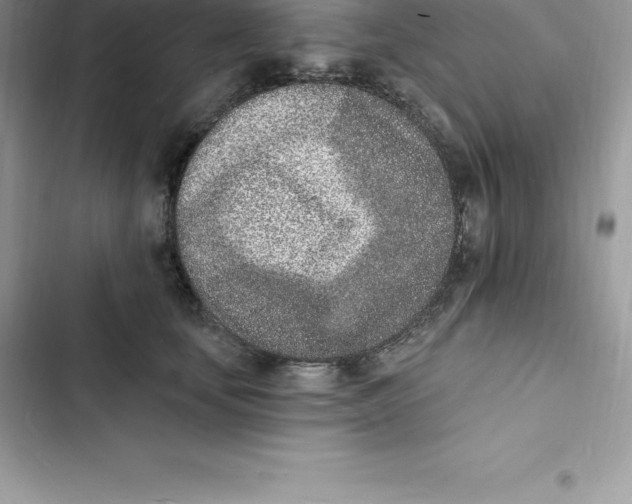 X0000103300659200809191855