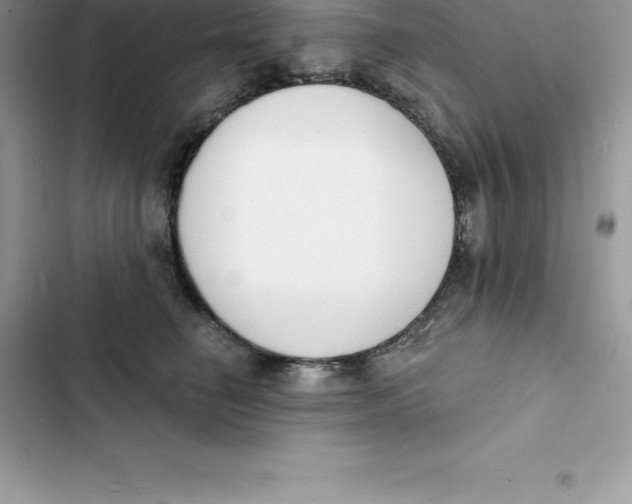 X0000103300662200809191855