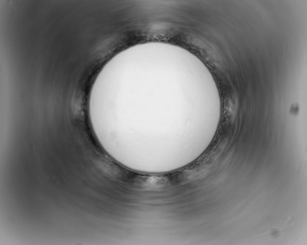 X0000103300663200809191855