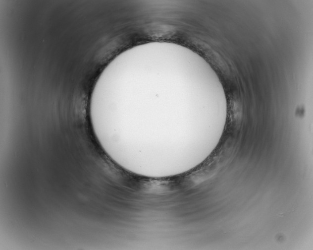 X0000103300664200809191855