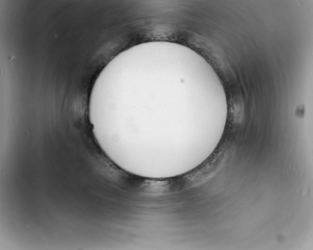 X0000103300665200809191855