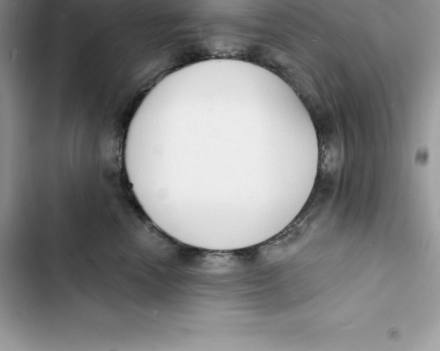 X0000103300666200809191855