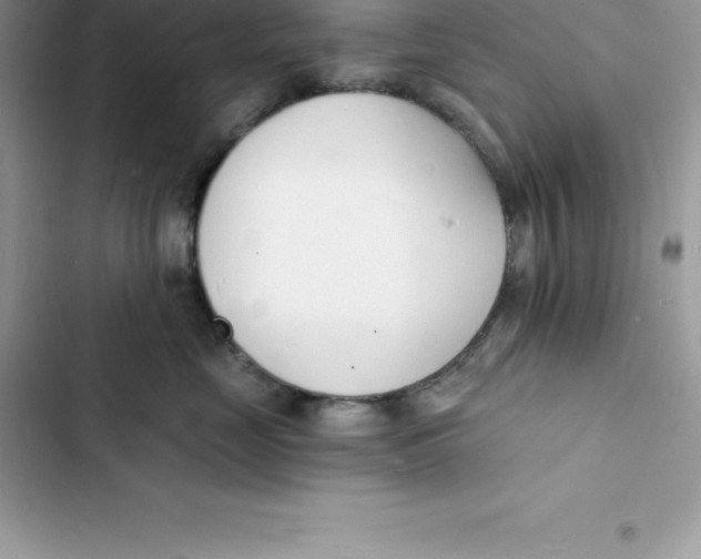 X0000103300669200809191855