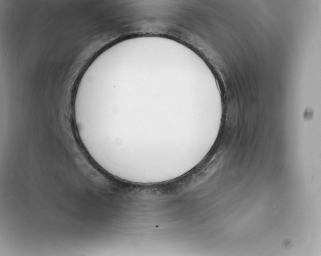 X0000103300673200809191855