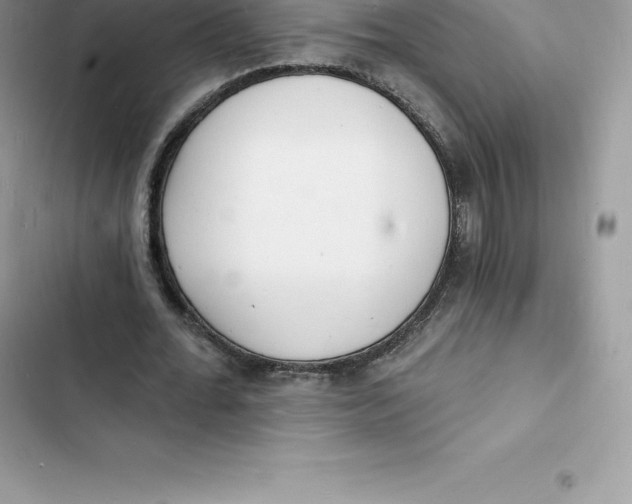 X0000103300676200809191855