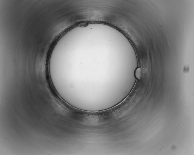 X0000103300677200809191855