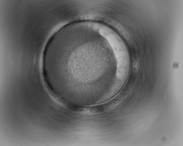 X0000103300678200809191855