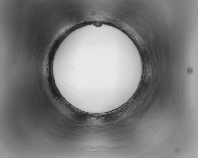 X0000103300680200809191855