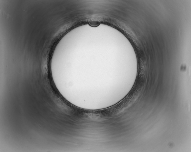 X0000103300681200809191855