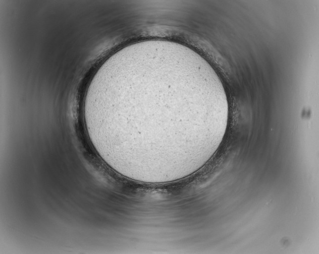 X0000103300683200809191855