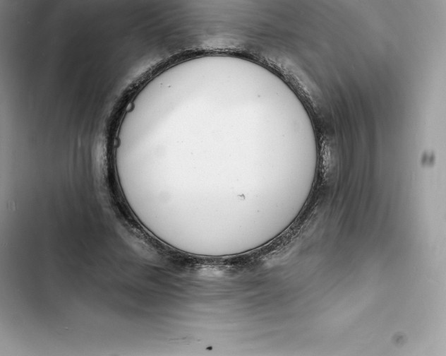 X0000103300684200809191855