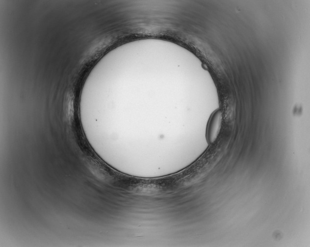 X0000103300685200809191855