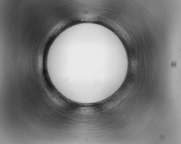 X0000103300686200809191855