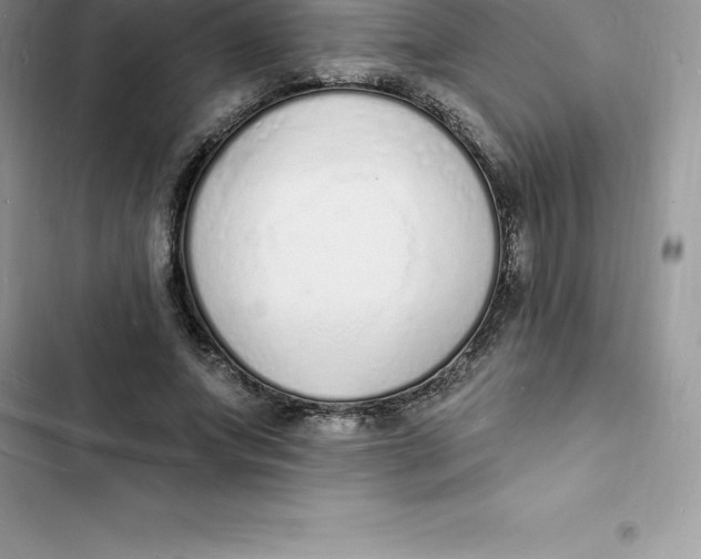 X0000103300687200809191854