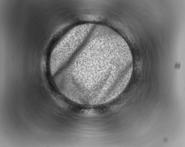 X0000103300688200809191854