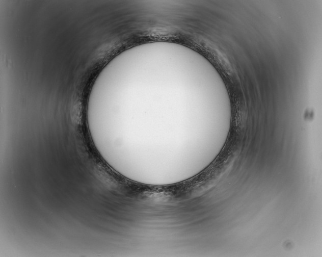 X0000103300689200809191854