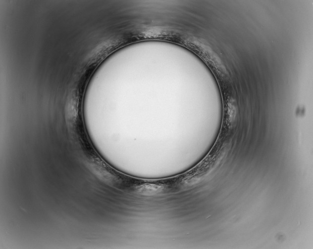 X0000103300691200809191854