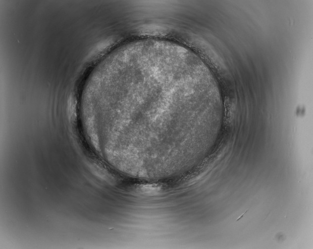 X0000103300692200809191854