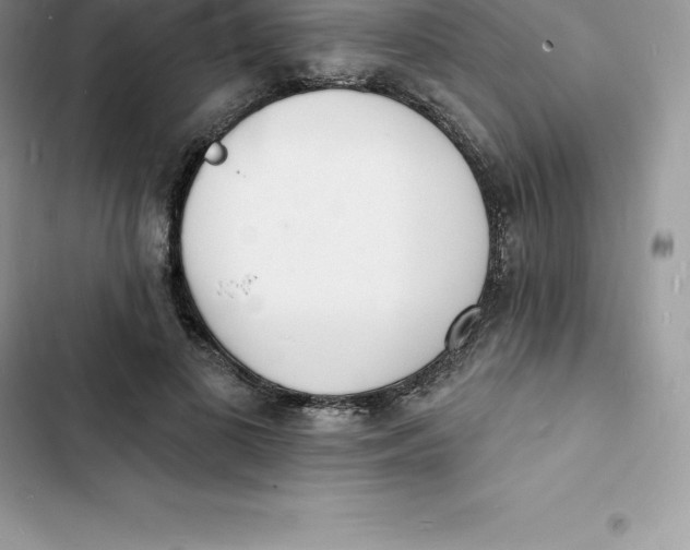 X0000103300693200809191854