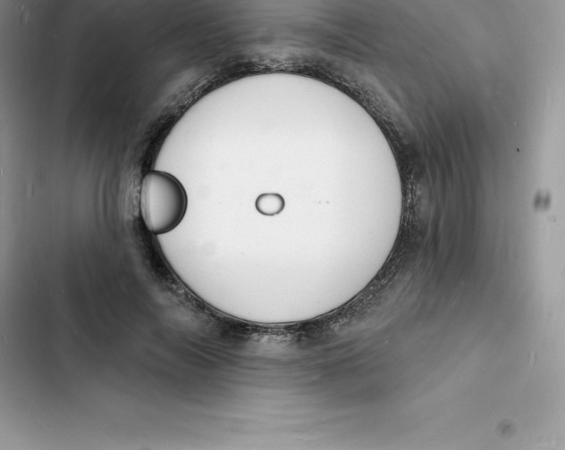 X0000103300694200809191854