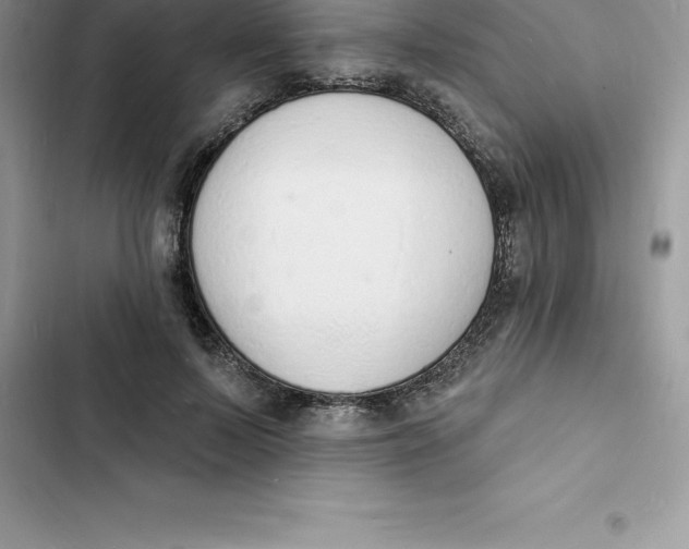 X0000103300695200809191854