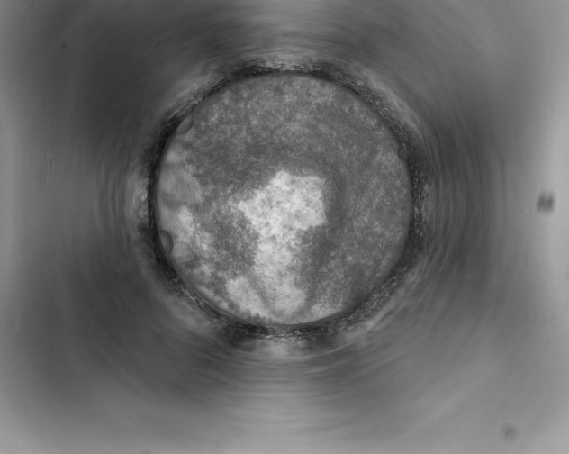 X0000103300696200809191854