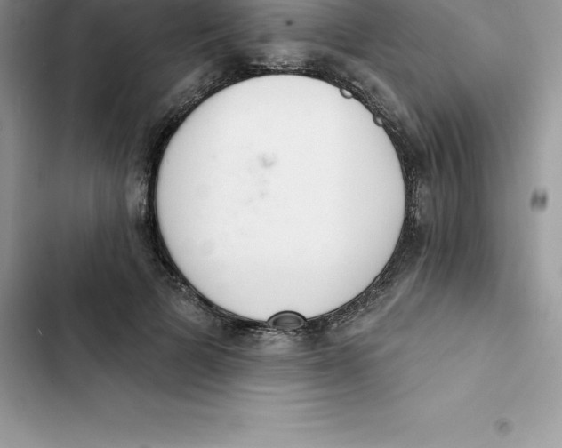 X0000103300697200809191854