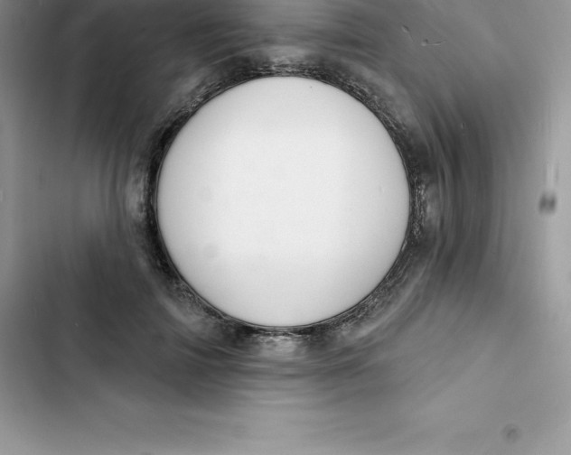 X0000103300698200809191854