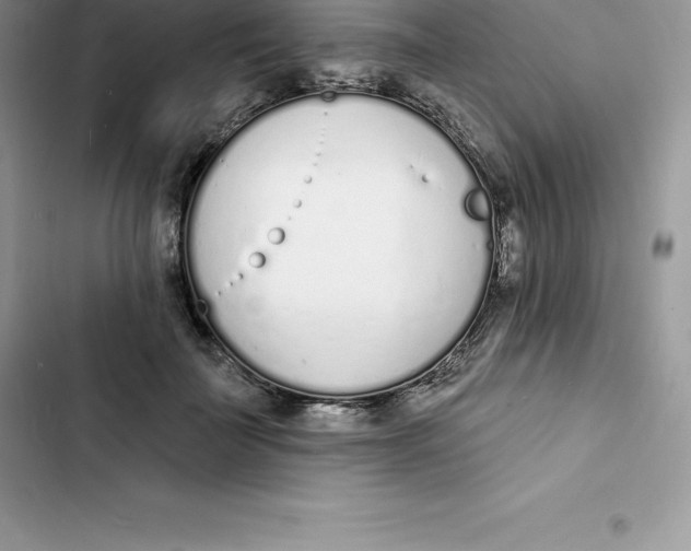 X0000103300699200809191854