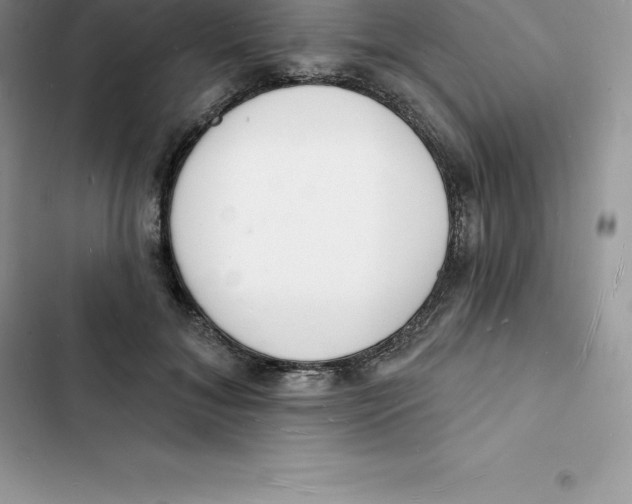 X0000103300700200809191854