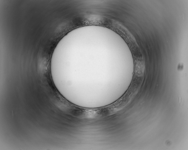 X0000103300701200809191854