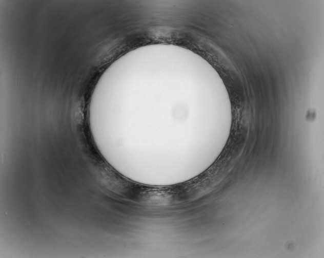 X0000103300702200809191854