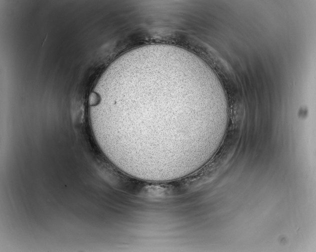 X0000103300703200809191854