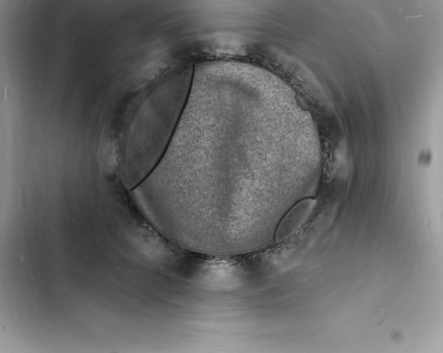 X0000103300704200809191854