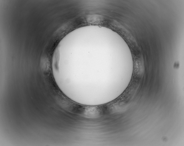 X0000103300705200809191854