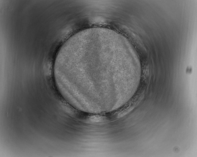 X0000103300708200809191854