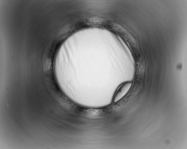 X0000103300711200809191854