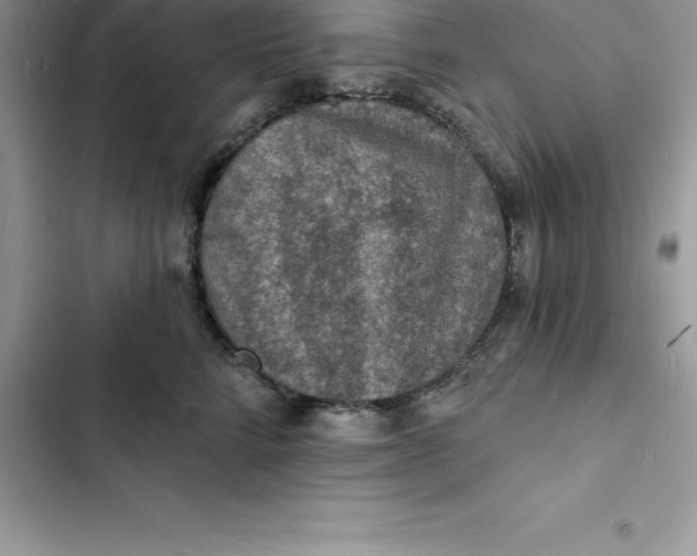 X0000103300712200809191854