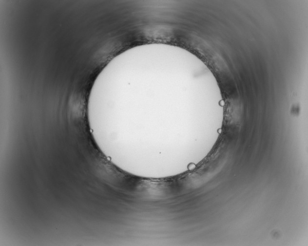 X0000103300713200809191854