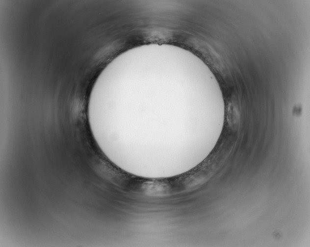 X0000103300714200809191854