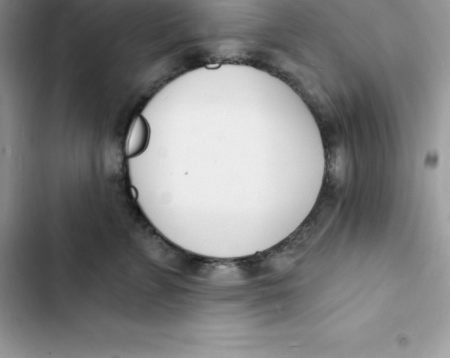 X0000103300715200809191854