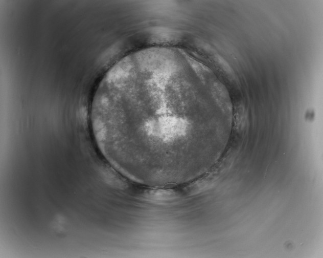 X0000103300716200809191854