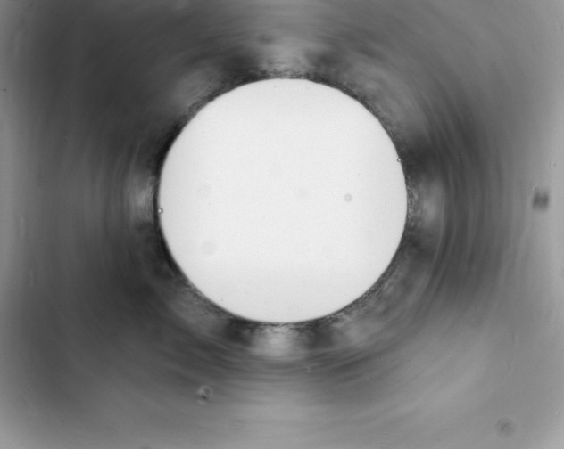 X0000103300717200809191854