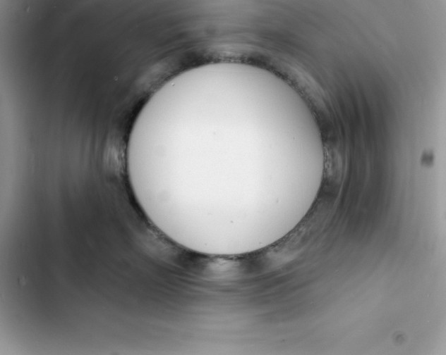 X0000103300718200809191854